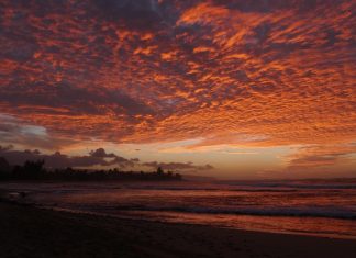 Em breve, o tsunami irá passar e juntos voltaremos a surfar tranquilamente. Foto: Antônio Zanella.